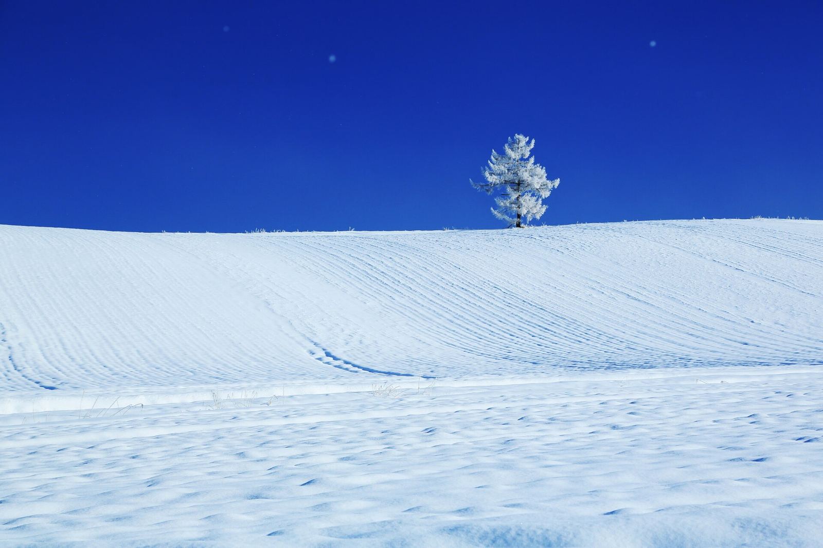 北海道