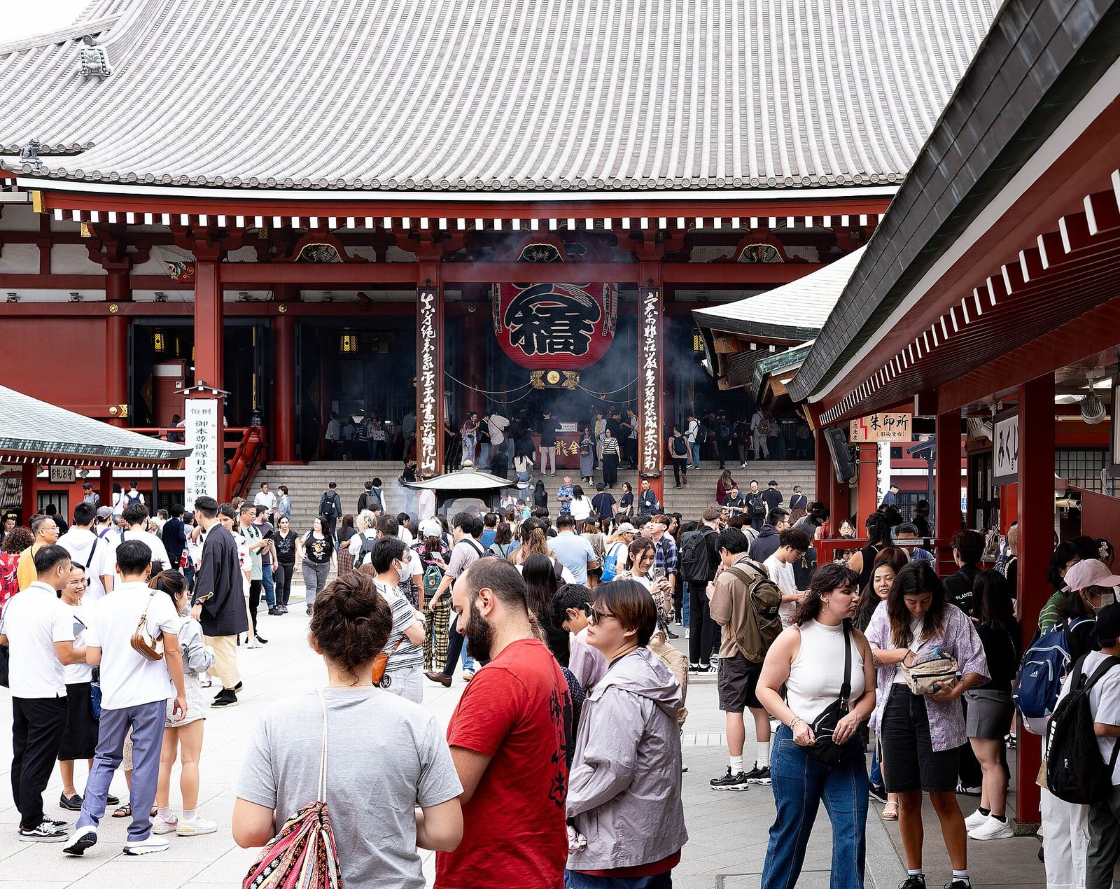 预约导游