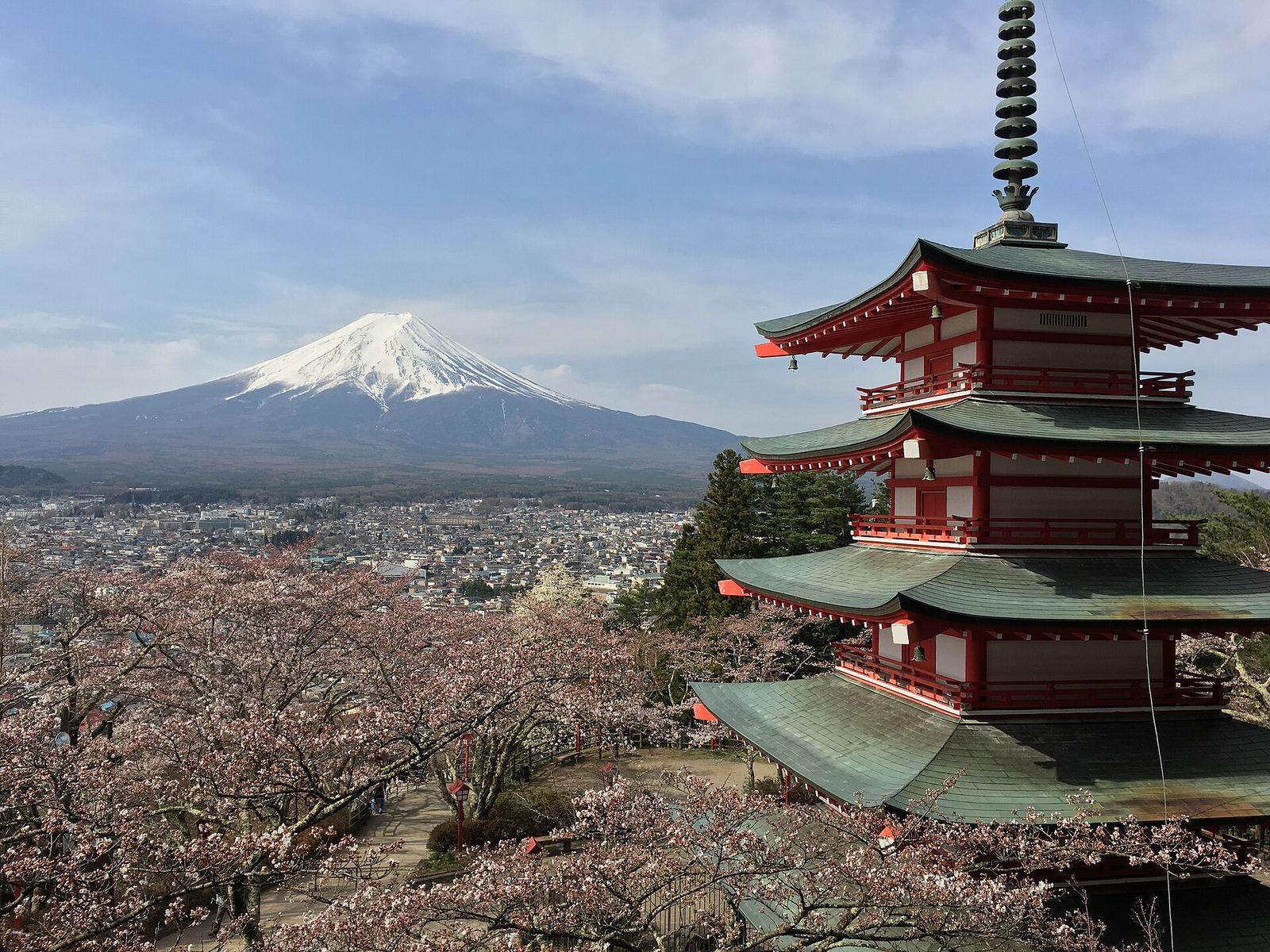 富士山与樱花