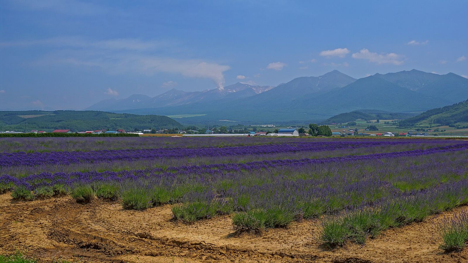 富田农场
